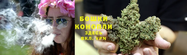 ПСИЛОЦИБИНОВЫЕ ГРИБЫ Балахна