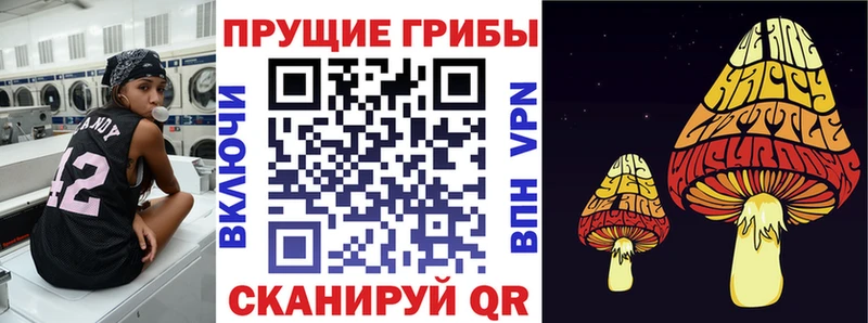 mega сайт Светлогорск Псилоцибиновые грибы GOLDEN TEACHER